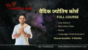 Professional Vaidik Astrology Course in India for Career