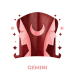 GEMINI (1)